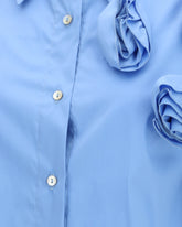 | Base Blu