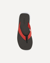 | Base Blu