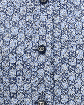 | Base Blu