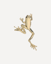 Large Frog Brooc - GOLD | Base Blu
