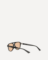 Signature Essentials Sunglasses - BROWN | Base Blu