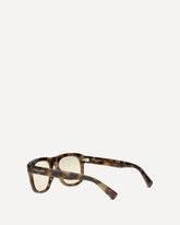 SL 558 Sunglasses - BROWN | Base Blu