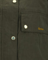  | Base Blu