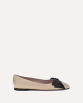 Bowow  Ballerinas - BROWN | Base Blu