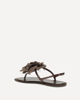 Rose Sandals - BROWN | Base Blu