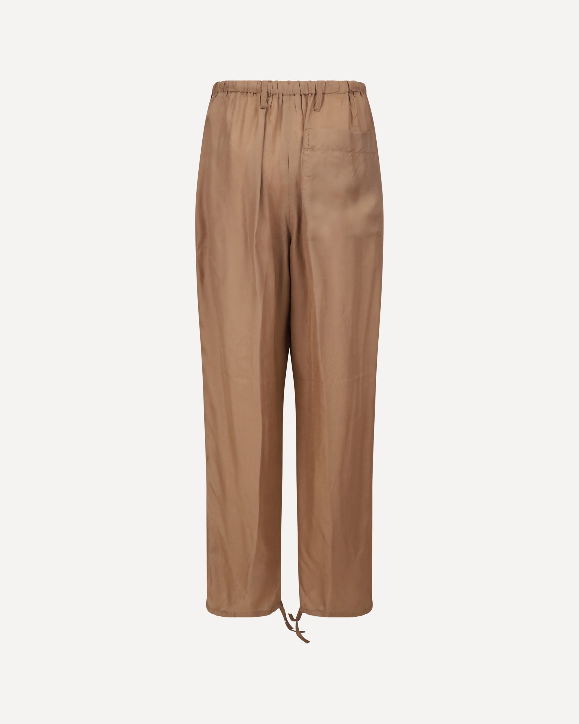 DRIES VAN NOTEN Penra Pants BROWN | Base Blu